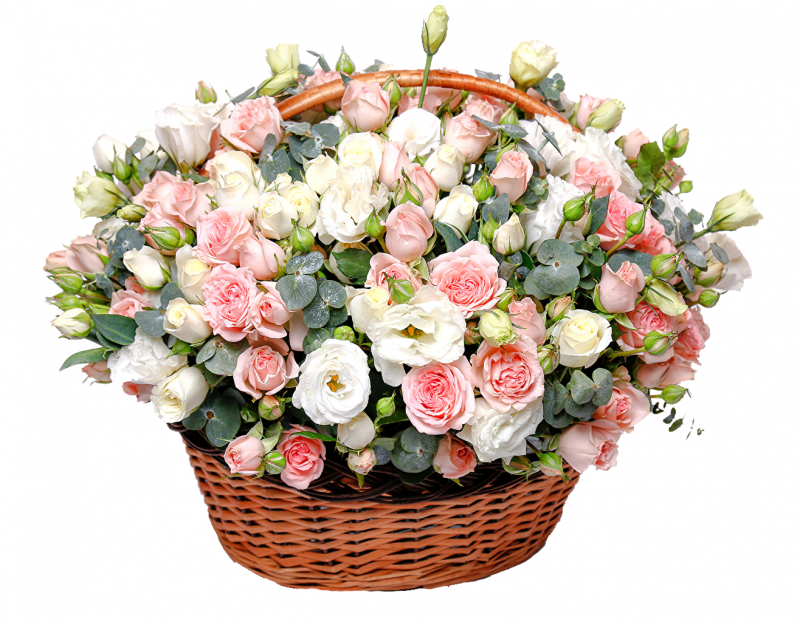 Mesaj de felicitare cu ocazia ,,Zilei Internaționale a Tineretului”