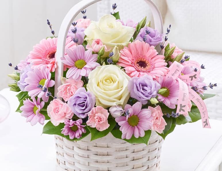 Mesaj de felicitare cu ocazia sărbătorii profesionale ,,Ziua lucrătorului din sfera protecției sociale a populației”