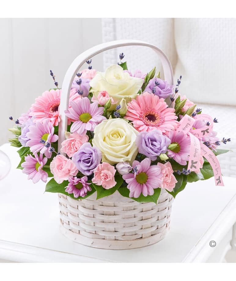 Mesaj de felicitare cu ocazia sărbătorii profesionale ,,Ziua lucrătorului din sfera protecției sociale a populației”