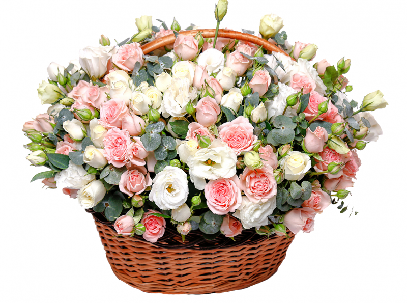 Mesaj de felicitare cu prilejul zilei profesionale ,,Ziua Funcţionarului Public”