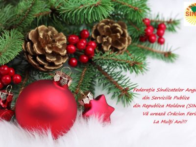 Mesaj de felicitare cu prilejul sărbătorilor de iarnă