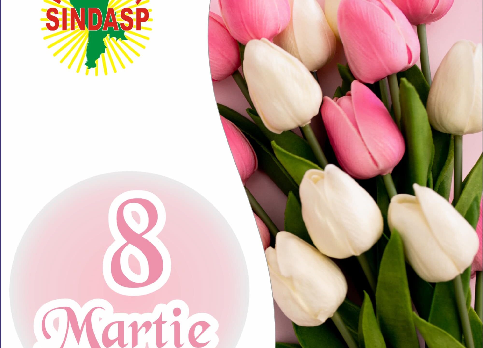 Mesaj de felicitare cu prilejul Zilei Internaționale a Femeii – 8 Martie